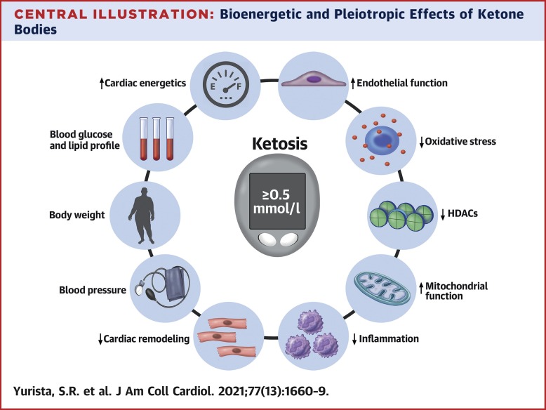The Role of Ketones - The Science Behind Ketosis