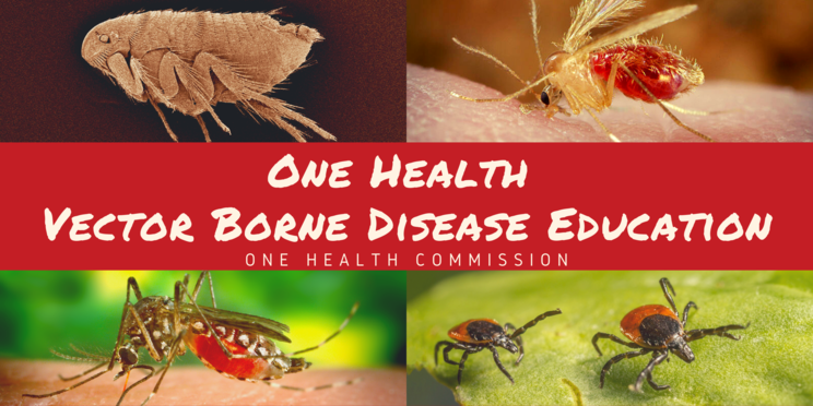 Vector-Borne Diseases - Healthcare Costs and Weather-Related Illnesses