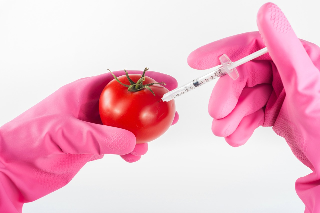 Myth 1: GMOs Are Unnatural and Unsafe - Genetically Modified Organisms (GMOs) in Agriculture