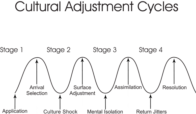 The Phases of Cultural Adjustment - Cultural Adjustment: Adapting to Life in the U.S.