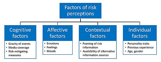 Loss Aversion and Risk Perception - Understanding Consumer Biases and Decision-Making