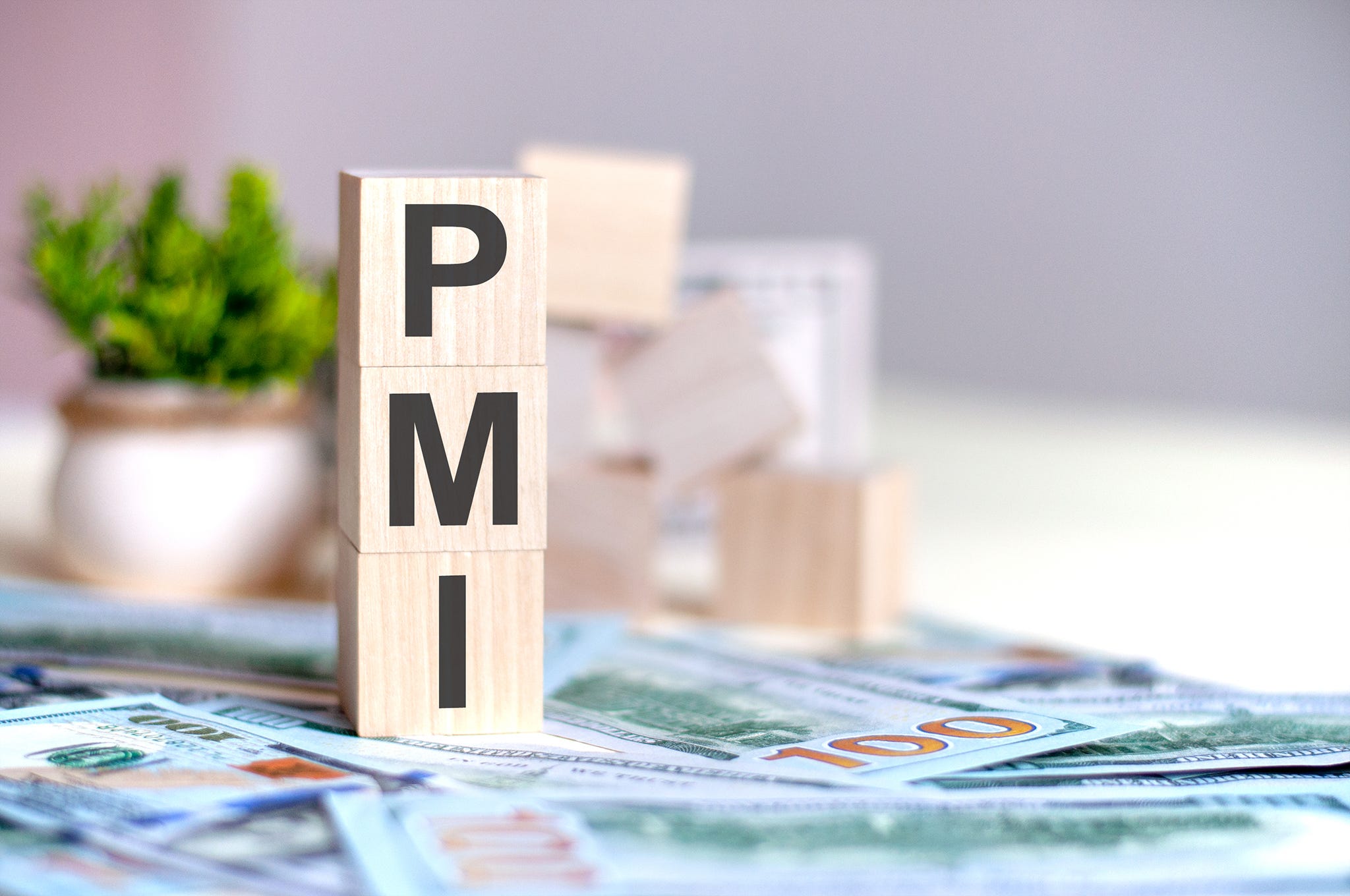 Private Mortgage Insurance (PMI) - Deciphering Mortgage Insurance: PMI, MIP, and More