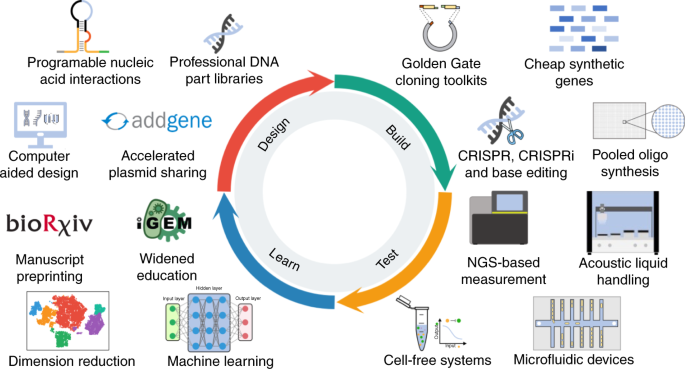 Synthetic Biology - Advancements in Health and Medicine