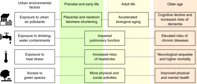 Longevity and Perennial Growth - Environmental Considerations in Cultivation