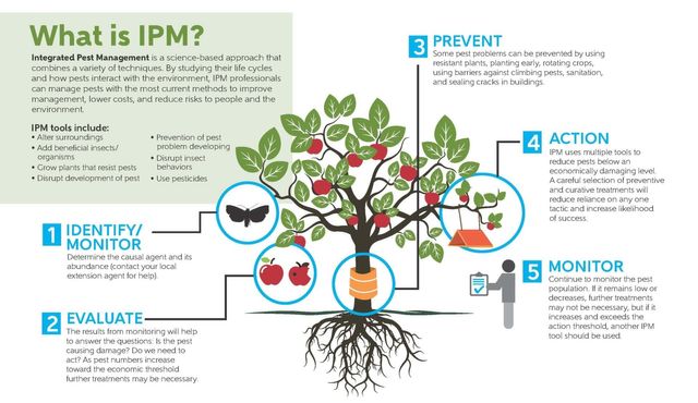 Integrated Pest Management (IPM) - Innovations in Pest and Disease Management in Agriculture