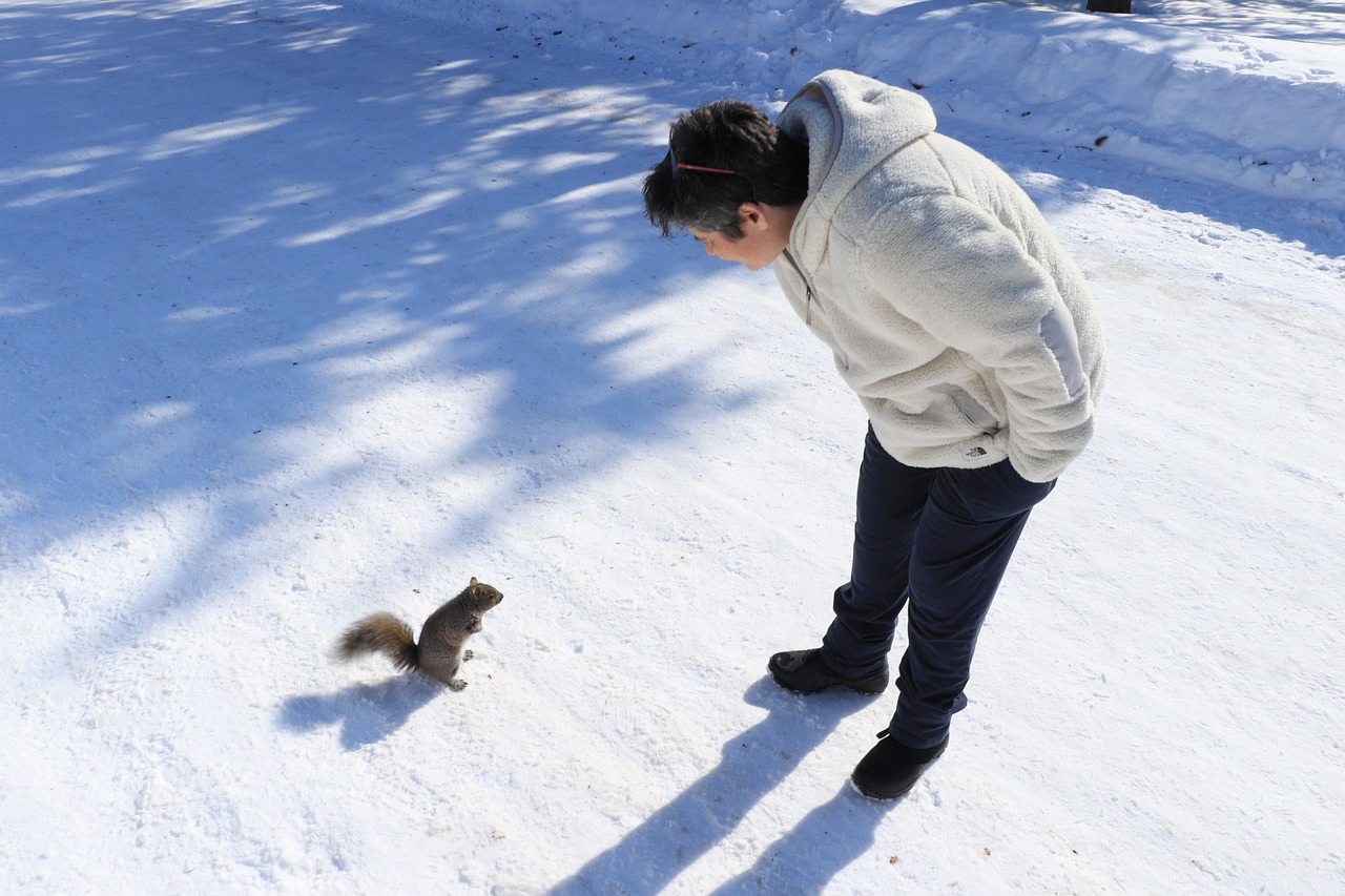 Human-Squirrel Interactions - Squirrels in the City: Masters of Urban Survival