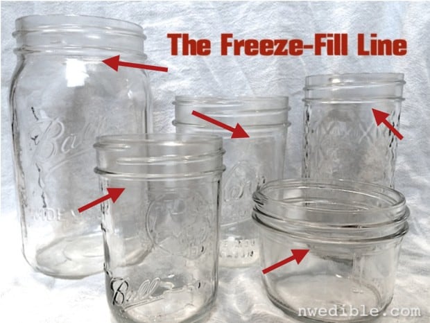 Fill Jars - Freezing, Canning, and Pickling Techniques