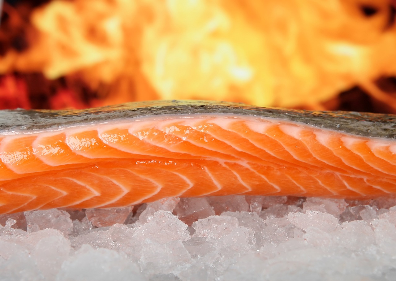 Oily Fish - A Guide to Making Better Dietary Choices