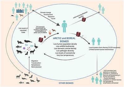 Environmental Contaminants - The Challenges of Indigenous Health in Polar Communities