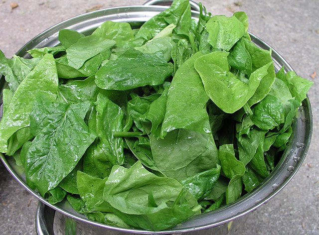 Notable Features - Leafy Greens: A Comprehensive Guide to Different Varieties