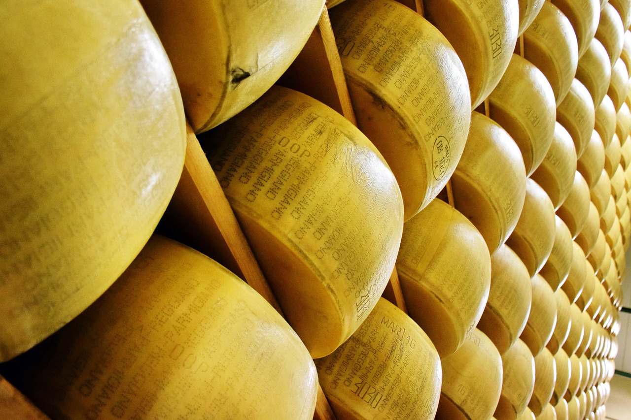 Parmigiano-Reggiano and Barolo - Italian Grandeur - Pairing European Cheeses with the Perfect Wines