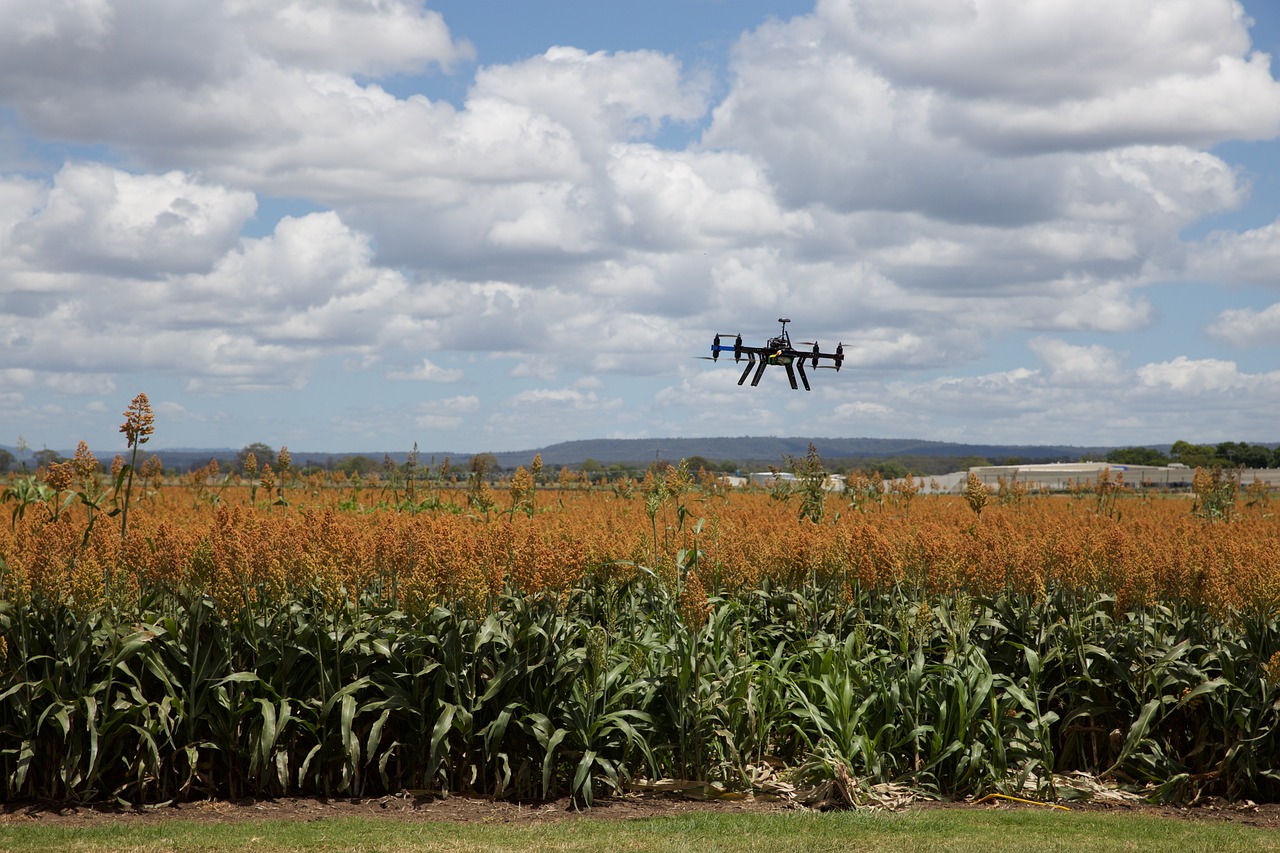 Precision Agriculture: The Digital Farm - The Role of Technology in Food Production and Distribution