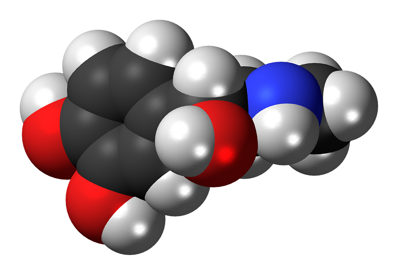 Other - Anaphylaxis and Epinephrine Use