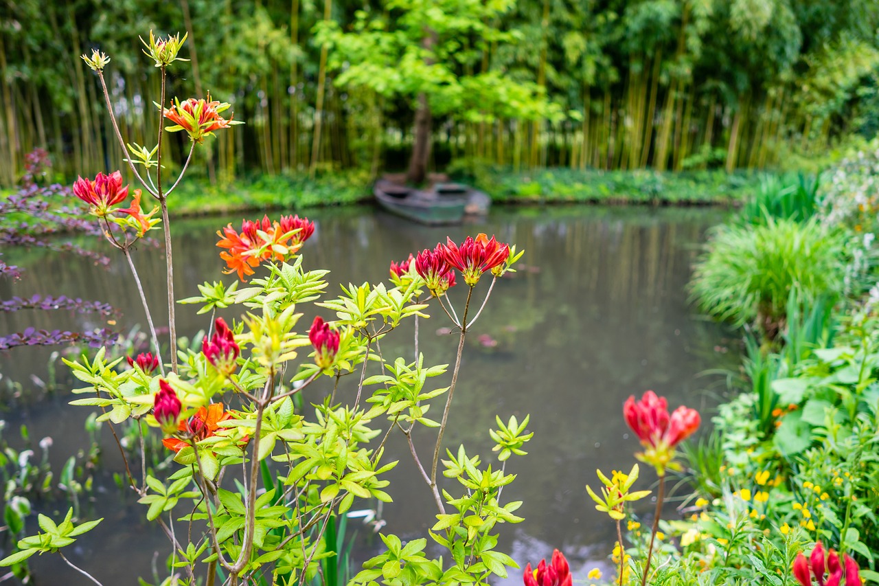 Monet's Water Lilies - Inspiring Creativity Throughout History
