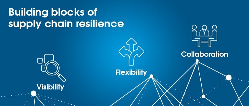 Demand Variability - Supply Chain Resilience and Risk Management