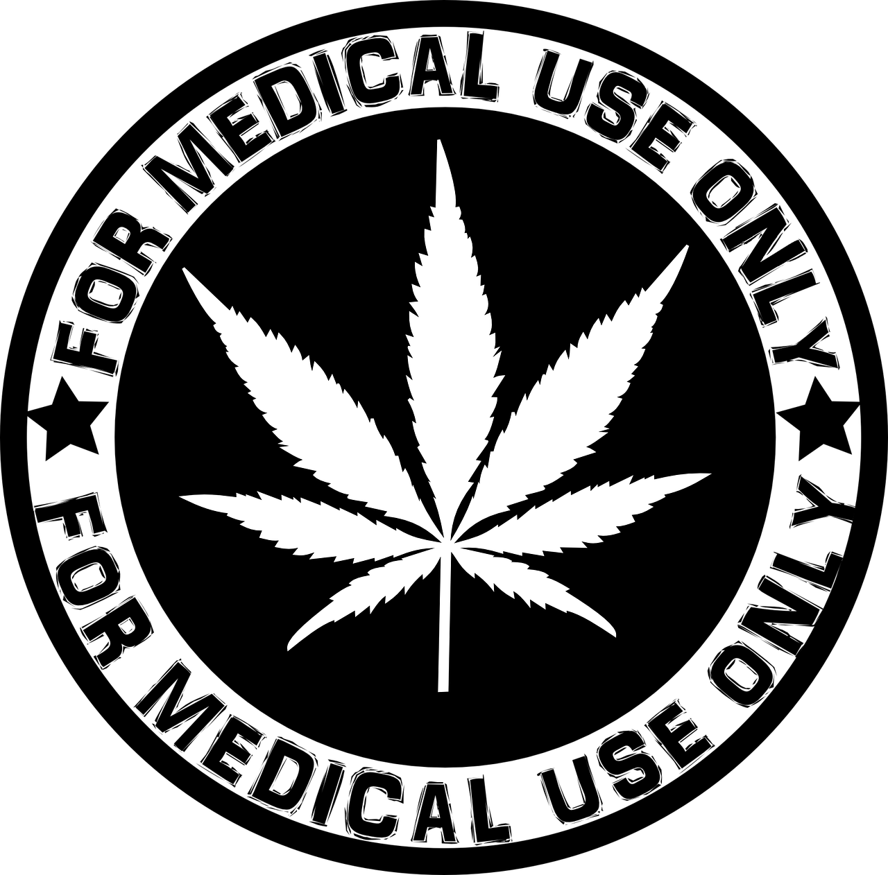 Cannabis Culture - Cannabis in Contemporary Art and Photography