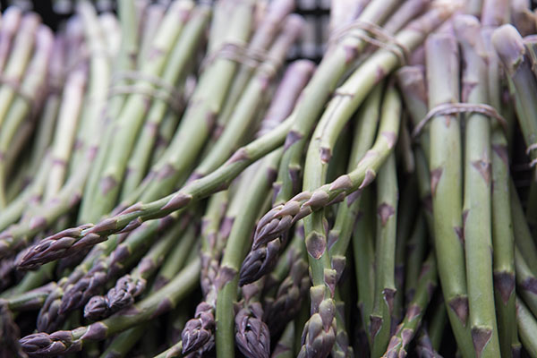 Greece - Historical Significance of Asparagus in Ancient Civilizations