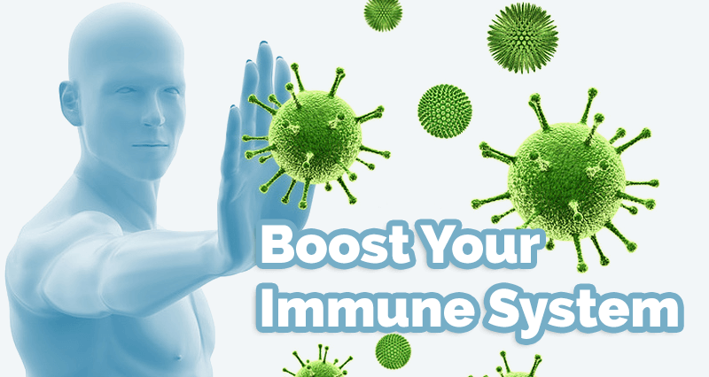 How Hygiene Supports Immune Function - Hygiene and Health: How Cleanliness Supports Immune Function