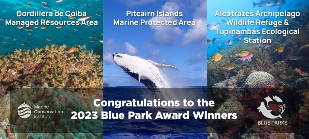 Marine Protected Areas (MPAs) - Whales and Dolphins of the Atlantic: Guardians of the Deep