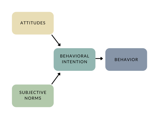 Emotional Connection - Determining Their Impact on Brand Equity