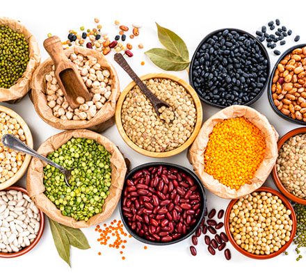 Seeds - Balancing Fats in a Plant-Based Diet: Sources and Recipes