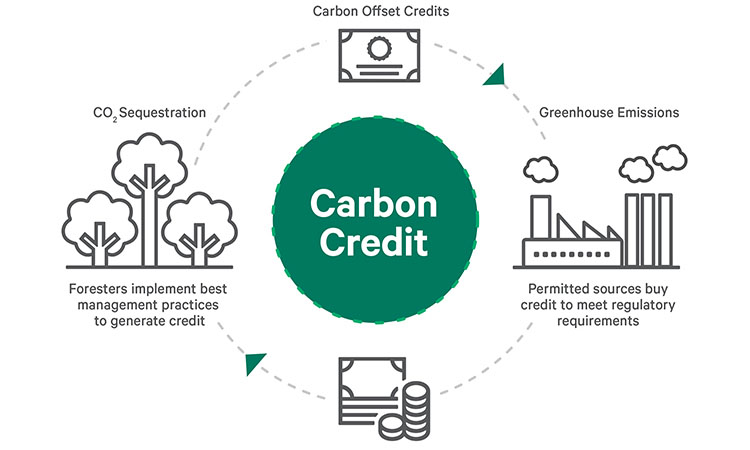 Carbon Credits - How Blockchain is Transforming Various Industries