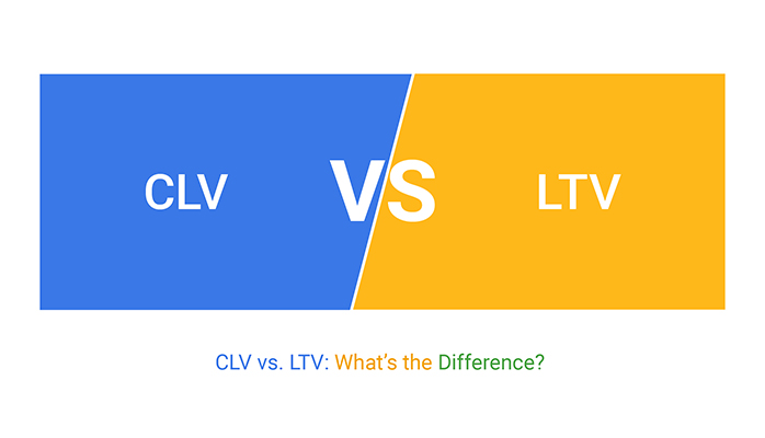 Understanding Customer Lifetime Value (CLV) - Customer Lifetime Value (CLV) as an Economic Metric