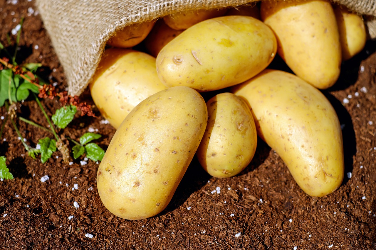Sweet Potatoes vs. Potatoes: A Nutritional Comparison