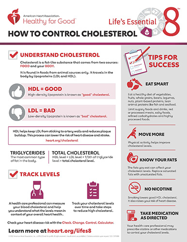 Promoting Overall Cardiovascular Health - How Physical Activity Complements Cholesterol Management