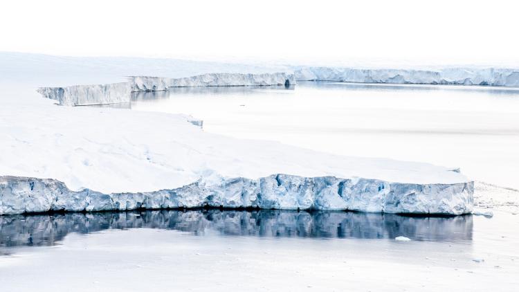 A Tribute to a Scientific Pioneer - Unlocking Antarctica's Environmental History