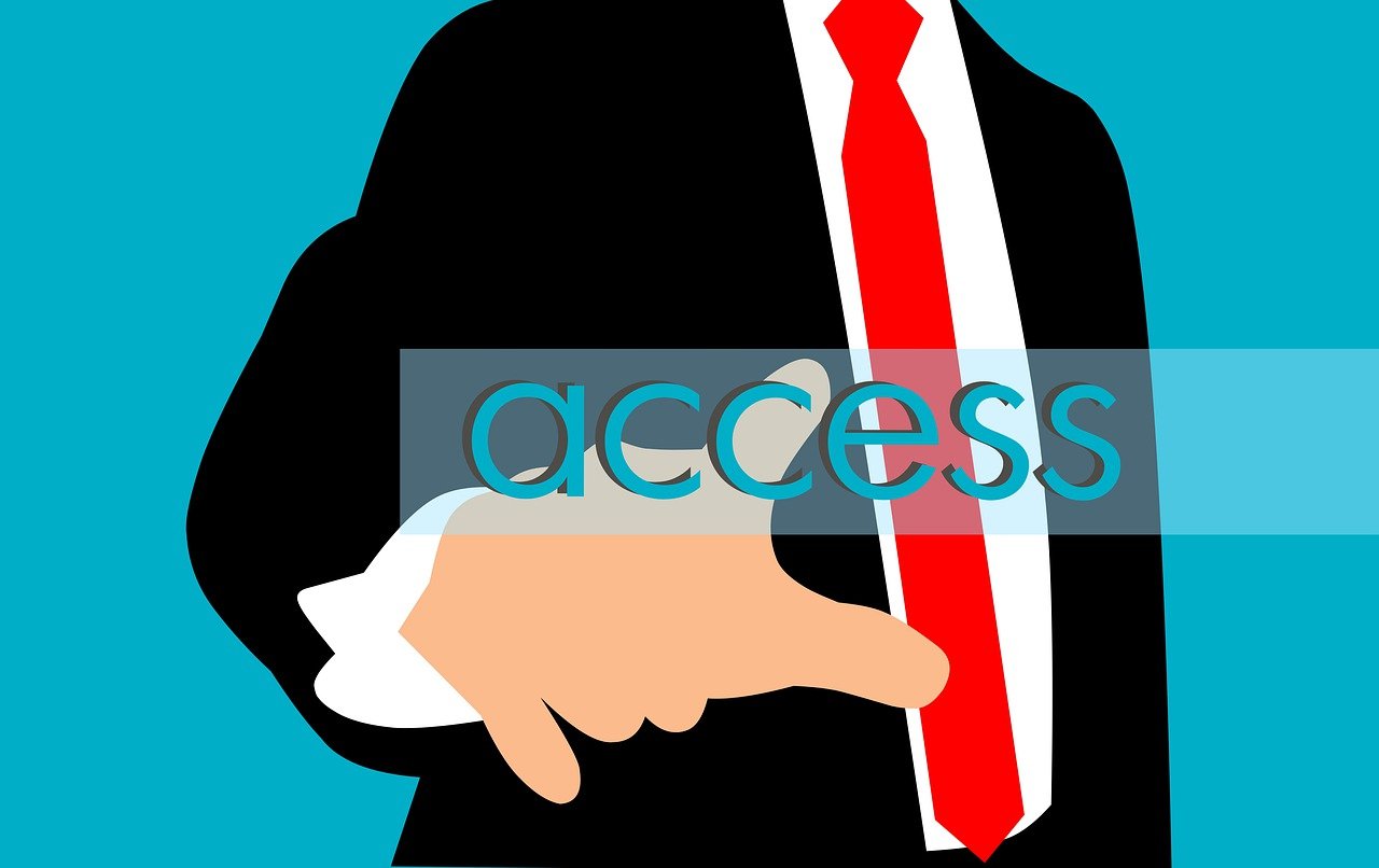 Permissioned Access - Exploring the Benefits and Concerns