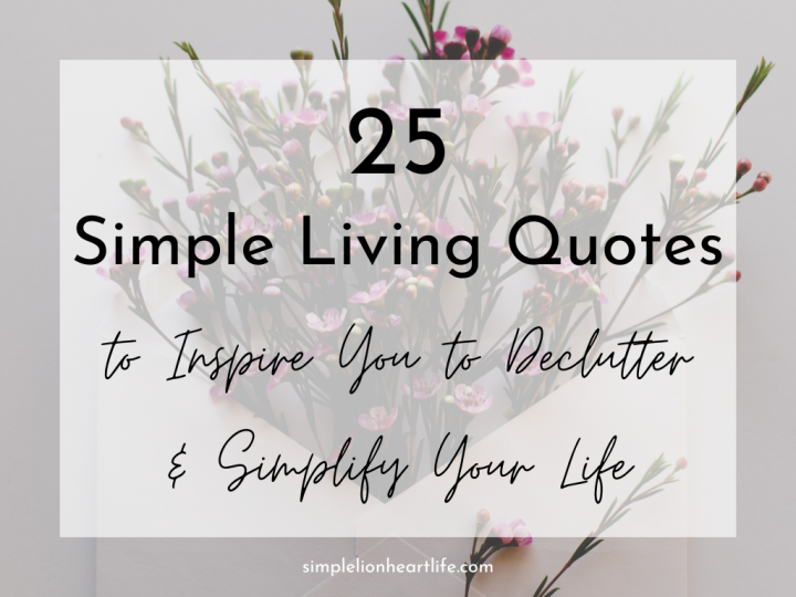 V. Mindful Living - The Return of Clean Lines and Simplicity