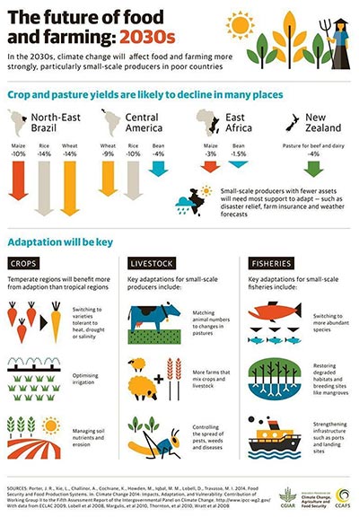 Impact on Food Security - The Impact of Climate Change on Global Agriculture