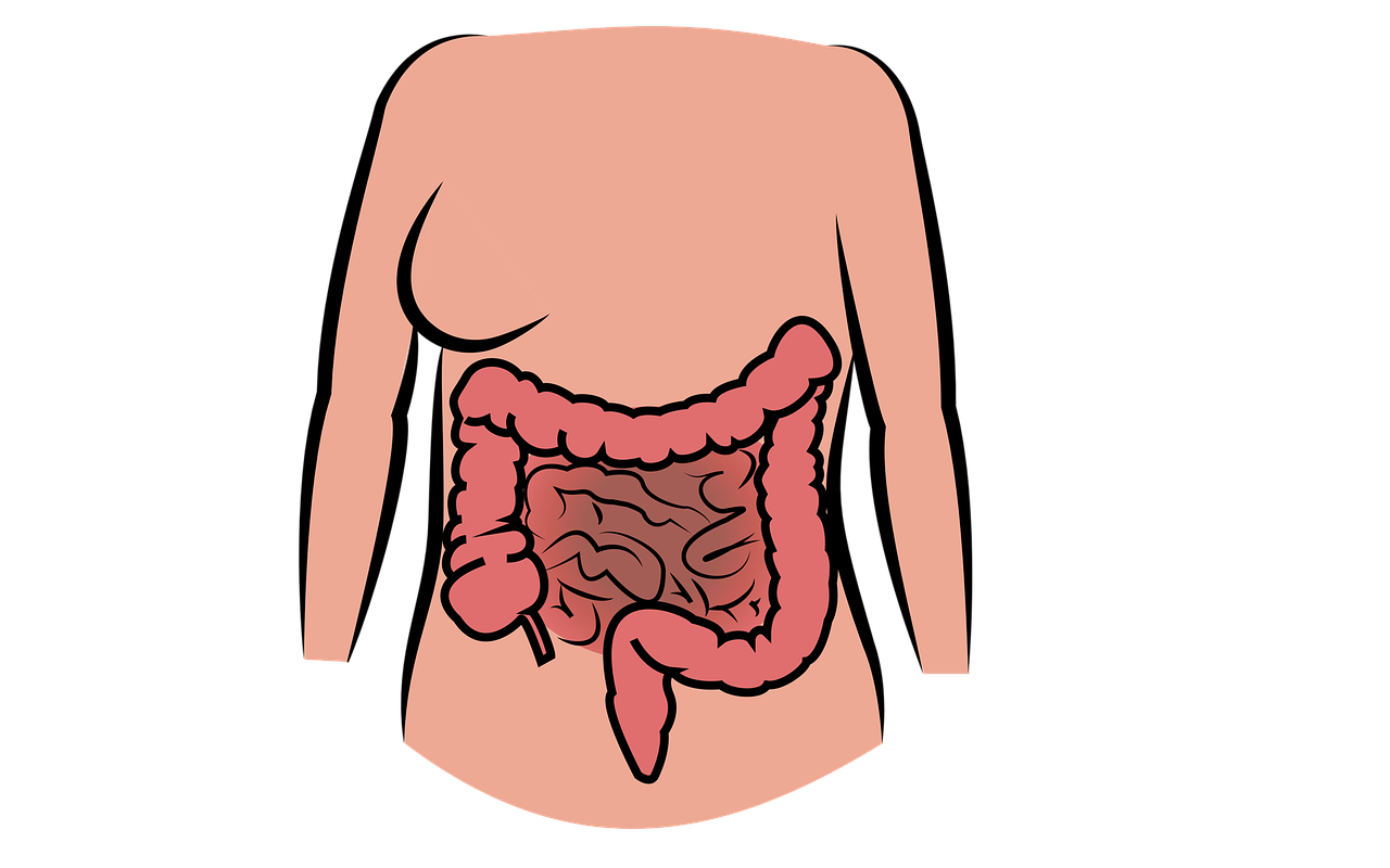 Preventing Diverticulitis - The Cornerstone of a Healthy Digestive System