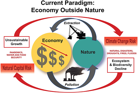 The Paradigm Shift Towards Ethical Consumption - The Rising Importance of Ethical Consumption