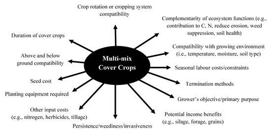 Cover Crops - Sustainable Crop Rotation Strategies for Soil Health