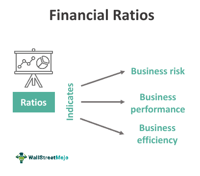 Profitability Ratios - How Accounting Translates Financial Data into Insight