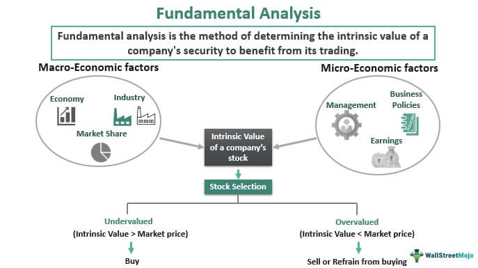 Understanding Fundamental Analysis - Evaluating Stocks Based on Financial Metrics and Company Performance
