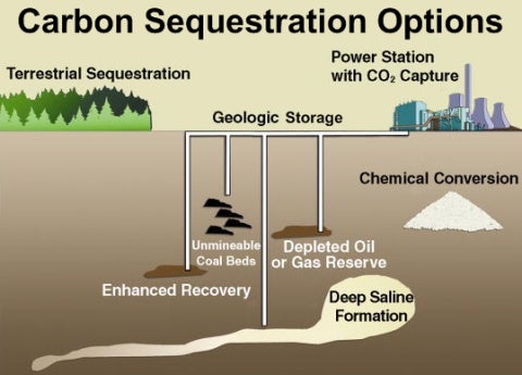 Carbon Sequestration - Integrating Trees and Crops for Sustainable Farming