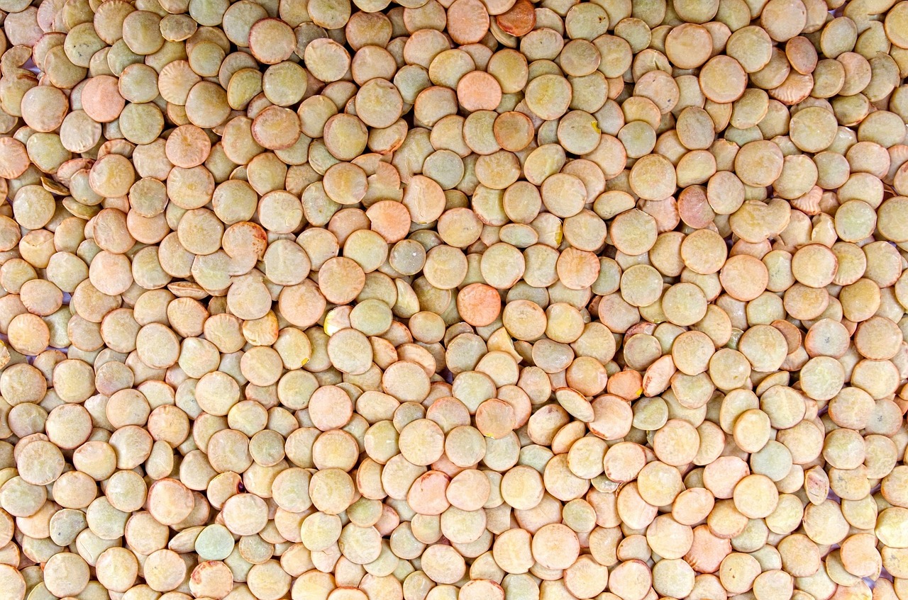 Beans and Lentils - Nourishing Meals on a Shoestring