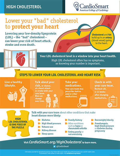 Lowering LDL Cholesterol - How Physical Activity Complements Cholesterol Management