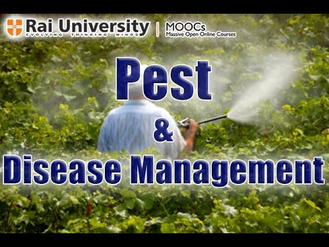 Disease and Pest Management - The Importance of Soil Testing and Analysis in Agriculture