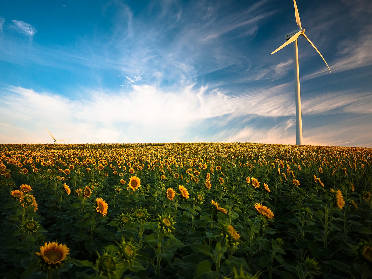 Renewable Energy: Harnessing Nature's Power - Opportunities for Economic Growth