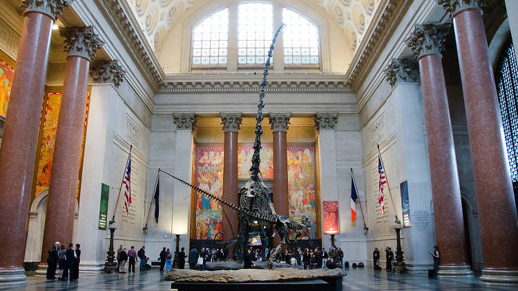 The American Museum of Natural History - Museums, Theaters and Galleries in New York