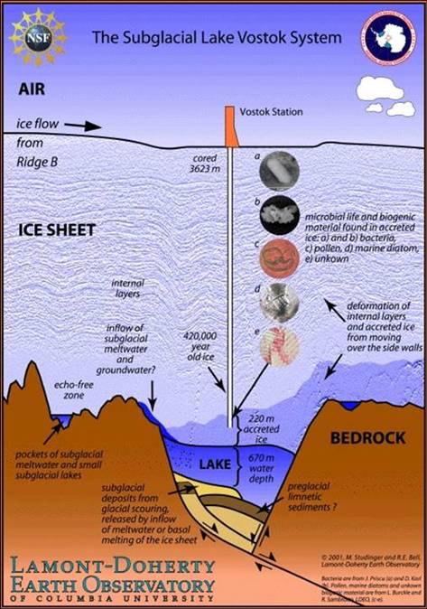 Antarctic Ice Cores and Paleoclimate Reconstruction