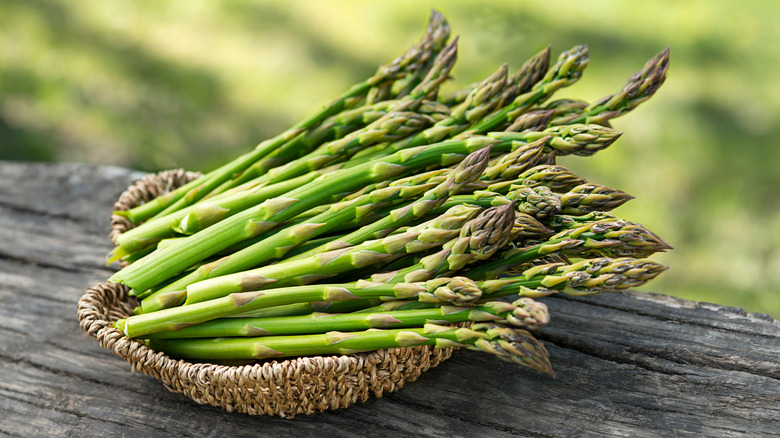 Key Points - Asparagus Myths and Misconceptions