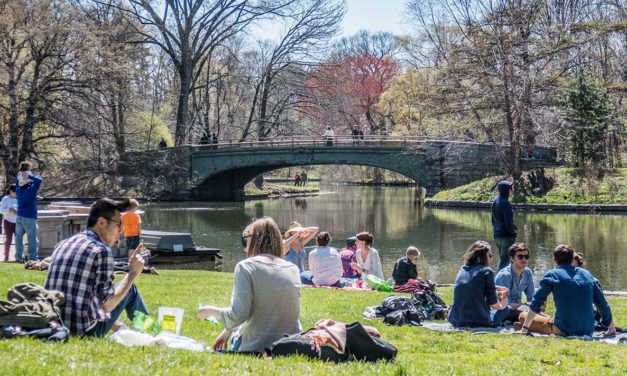 Prospect Park: Brooklyn's Natural Gem - Parks and Green Spaces in the Concrete Jungle