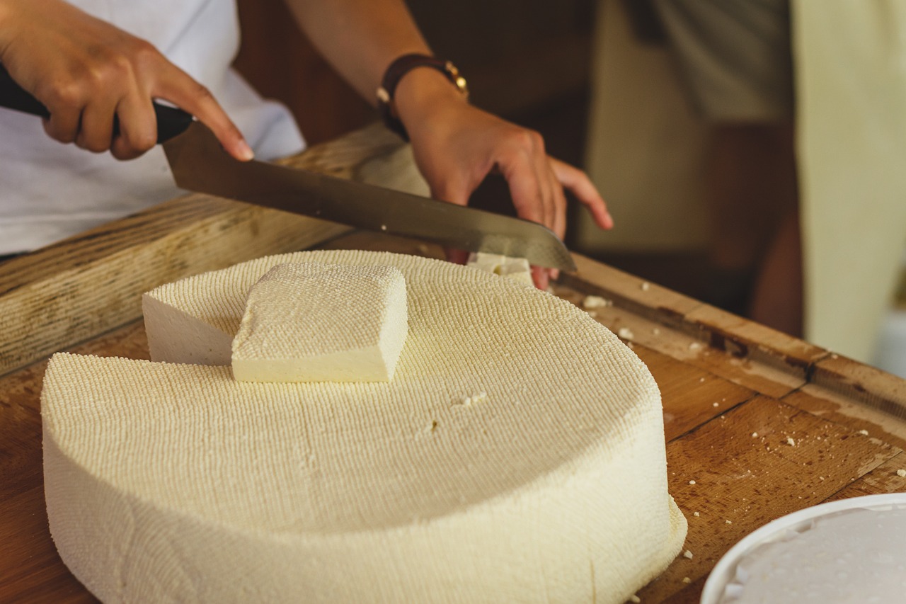 Switzerland: The Land of Alpine Cheese - Exploring Regions Famous for Their Fromage