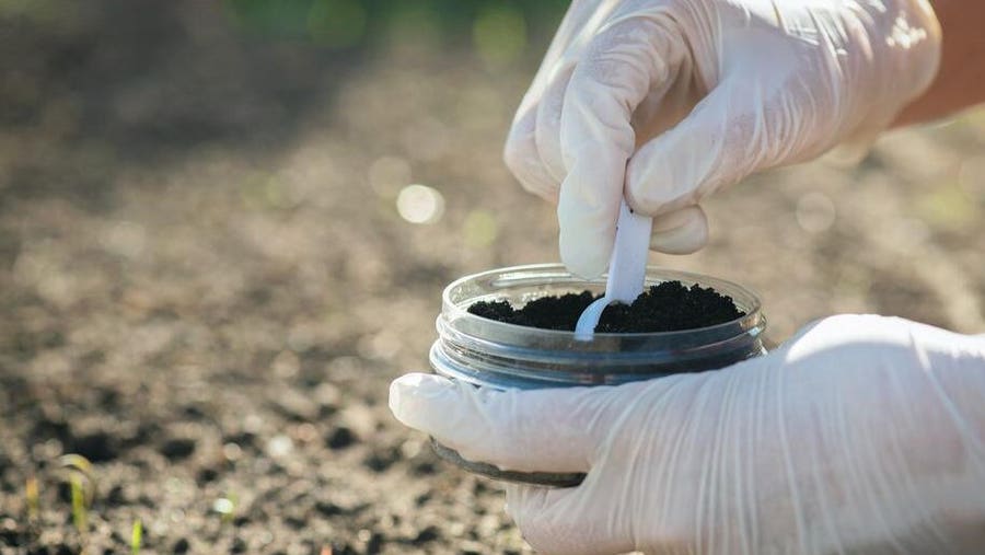 Improved Crop Yields - The Importance of Soil Testing and Analysis in Agriculture