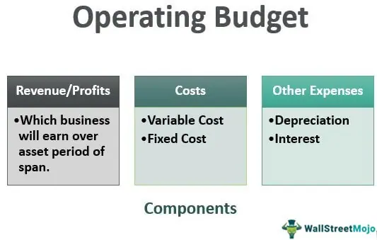 Operational Expenses - Costs, Budgets, and Fiscal Responsibility